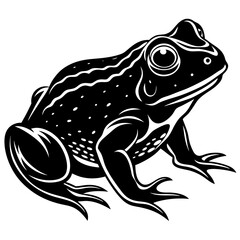 Animals silhouette vector image