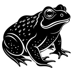 Animals silhouette vector image