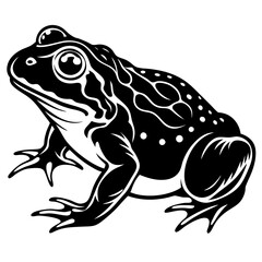 Animals silhouette vector image