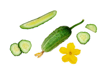 Cucumber and slices isolated on a white background, top view, contour