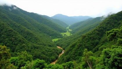  Majestic Valley  A Journey Through Natures Grandeur