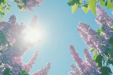 A photo of a group of purple flowers.