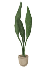 Indoor plants sticker vector