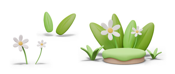 Green empty lawn with flowers, leaves, grass. Nice scene for eco goods, organic concepts