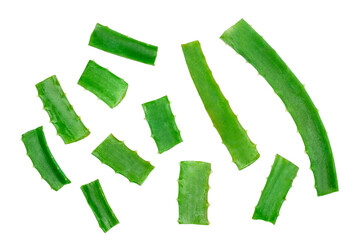 Aloe leaves isolated on a white background, top view