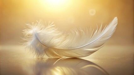 Obraz premium A delicate, pure white feather lies isolated on a soft, creamy background, its gentle curves and wispy edges beautifully illuminated by subtle, warm light.