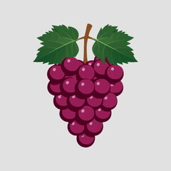 Illustration of grapes