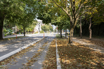 Naklejka premium Bike Lane