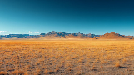 Fototapeta premium A vast desert view with clear blue sky during the day 
