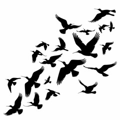 Obraz premium set of silhouettes of birds flying vector image 