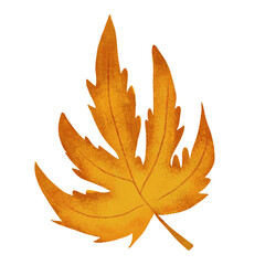 Maple leaf watercolor illustration. Hand drawn forest leaf on isolated background. For autumn packaging and design.