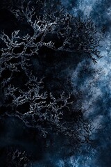 A black and white photo of a tree with no leaves on it