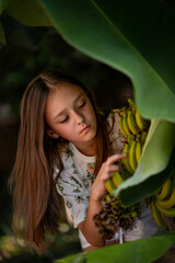 Fototapeta premium A girl in the tropical forest is picking bananas
