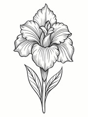 Intricate Gladiolus Vector Art Detailed Petals and Elegant Stem for Botanical Icons