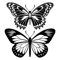 Set of Butterfly Vector, Illustration