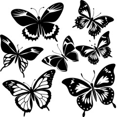 Set of Butterfly Vector, Illustration