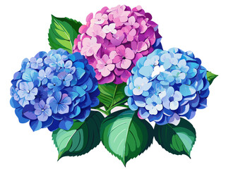 Beautiful Colorful Hydrangeas with Green Leaves Illustration - Vibrant illustration of a hydrangea flowers featuring flowers with green leaves. Perfect for themes of nature, florals, and decoration.