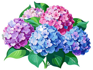 Beautiful Colorful Hydrangeas with Green Leaves Illustration - Vibrant illustration of a hydrangea flowers featuring flowers with green leaves. Perfect for themes of nature, florals, and decoration.