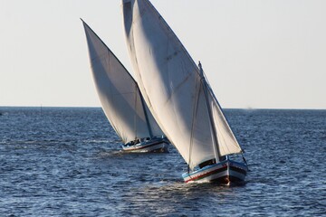 Fototapeta premium sailboat on the sea