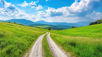 Fototapeta premium View of a straight quiet road with green grass bright atmosphere background wallpaper AI generated image