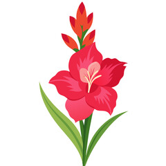 Vibrant Gladiolus Flower Illustration With Leaves- Colorful and detailed illustration of a gladiolus flower with vibrant petals and green leaves, capturing the essence of nature's beauty and elegance.