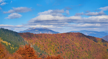 Picturesque fall landscape in the Carpathian Mountains. Mountain ranges covered with beech and coniferous forests delight with the play of autumn colors under the cloudy sky