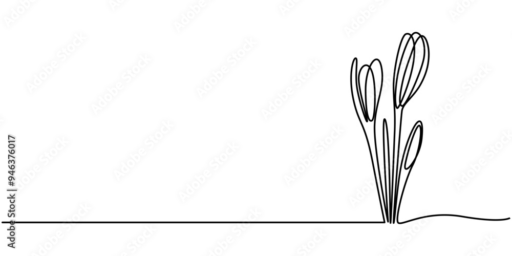 Poster group of spring crocus flowers in continuous line art drawing style. black linear sketch on white ba