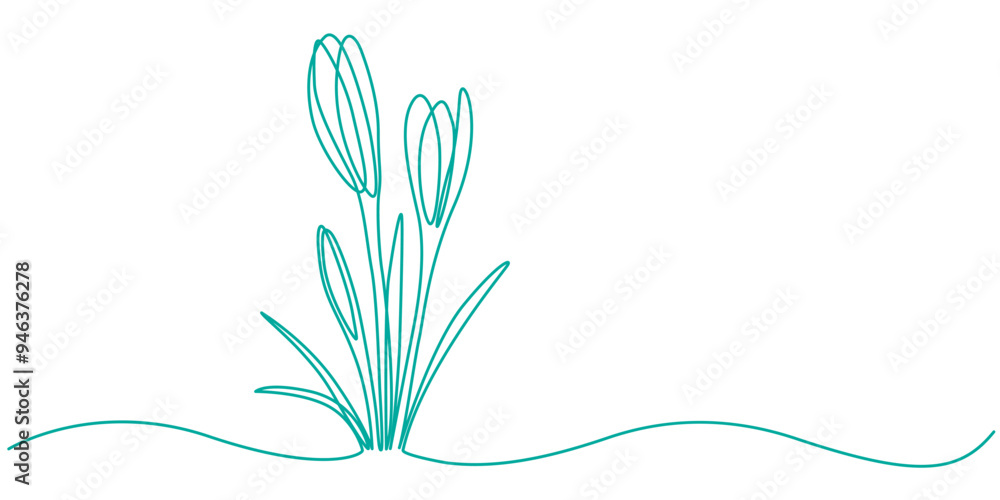 Poster group of spring crocus flowers in continuous line art drawing style. black linear sketch on white ba