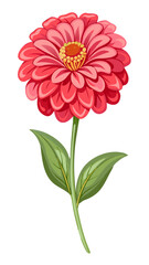 Vibrant Zinnia Flower With Green Leaves Illustration - Colorful illustration of a vibrant red zinnia flower with lush green leaves. Perfect for botanical designs and floral decorations.