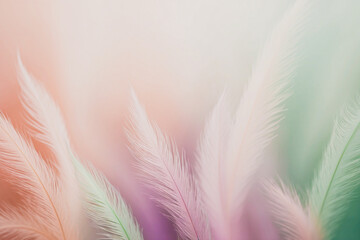 Image suspended amidst a delicate, ombre-inspired pastel gradient with soft feathery. Warm and gentle background perfect for a motivational quote