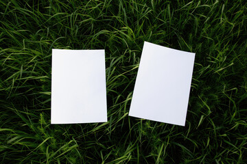 Mockups of two white A4 sheets on green grass in with scattered focus. Mockup of a poster on grass with no sun. Real photo of a blank isolated object to place text or design