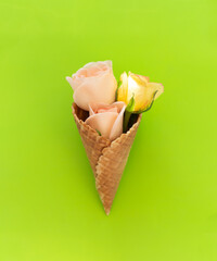 three soft pink roses in a waffle ice cream cone on green background