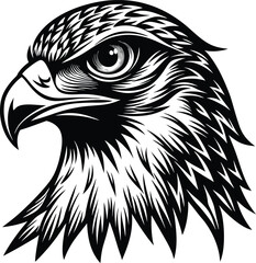 A sharp eagle head profile with fierce eyes and a powerful beak captured in sleek black lines

