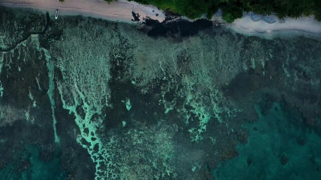 Aerial view of beautiful coral reef in tranquil ocean, Fiji.