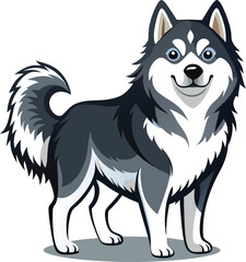 Fototapeta premium Alaskan Malamute Dog Vector, Clipart