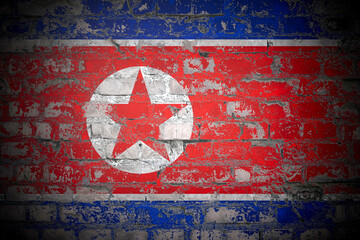 Flag of North Korea on brick wall