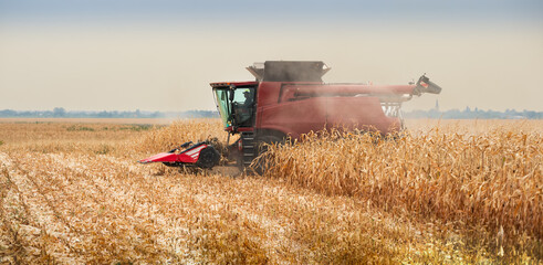Harvest work. A modern combine harvester working a wheat field