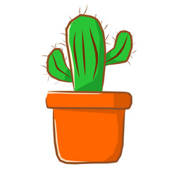 cactus in a pot