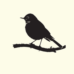 Black Silhouette of an American Robin Bird - Vector 
Illustration with Transparent Background