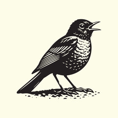 Black Silhouette of an American Robin Bird - Vector 
Illustration with Transparent Background