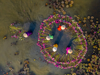 Aerial view of rural women in Moc Hoa district, Long An province, Mekong Delta are harvesting water...
