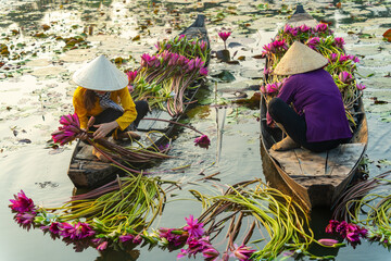 view of rural women in Moc Hoa district, Long An province, Mekong Delta are harvesting water...