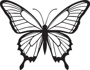 Vector image of a butterfly on a white background