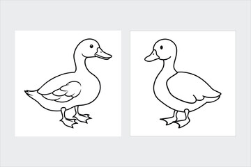 Ducks vector illustration