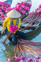 view of rural women in Moc Hoa district, Long An province, Mekong Delta are harvesting water...