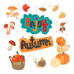 Fototapeta premium Enjoy Autumn poster with edible mushrooms,fall leaves,pumpkins,acorn,cute snail, handwritten, basket of apples.Autumnal cartoon card with forest and farm harvest.Vector design set isolated on white.