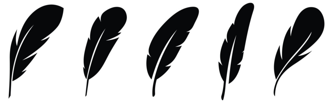 Bird Feather icon set. Feathers vector set in a flat style. Pen icon. Black quill feather silhouette.