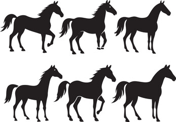 Horse silhouette Vector art illustration 3 . Horse ride , horse set .