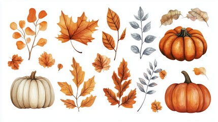 Autumn leaves and pumpkins arrangement in warm orange and yellow tones showcasing seasonal changes and nature motifs
