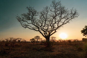Kruger National Park 3